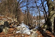 Sulle nevi del Rif. Gherardi (1650 m) e dell’ex-rif. C. Battisti (1670 m) ai Piani d’Alben l’8 febbraio 2019- FOTOGALLERY